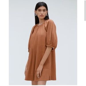 Everlane Smock Dress in Rust